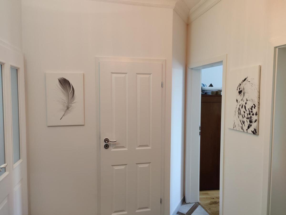 3Raumwohnung In Leipzig Am Voelkerschlachtdenkmal Extérieur photo